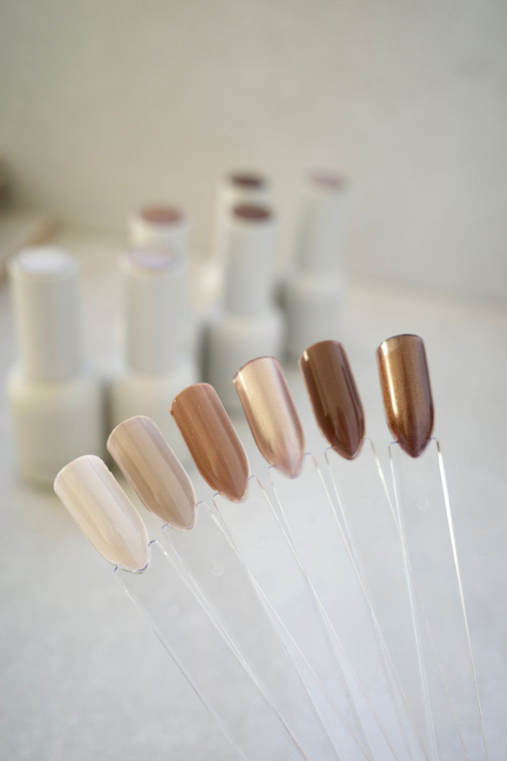 Latte Collection - Set