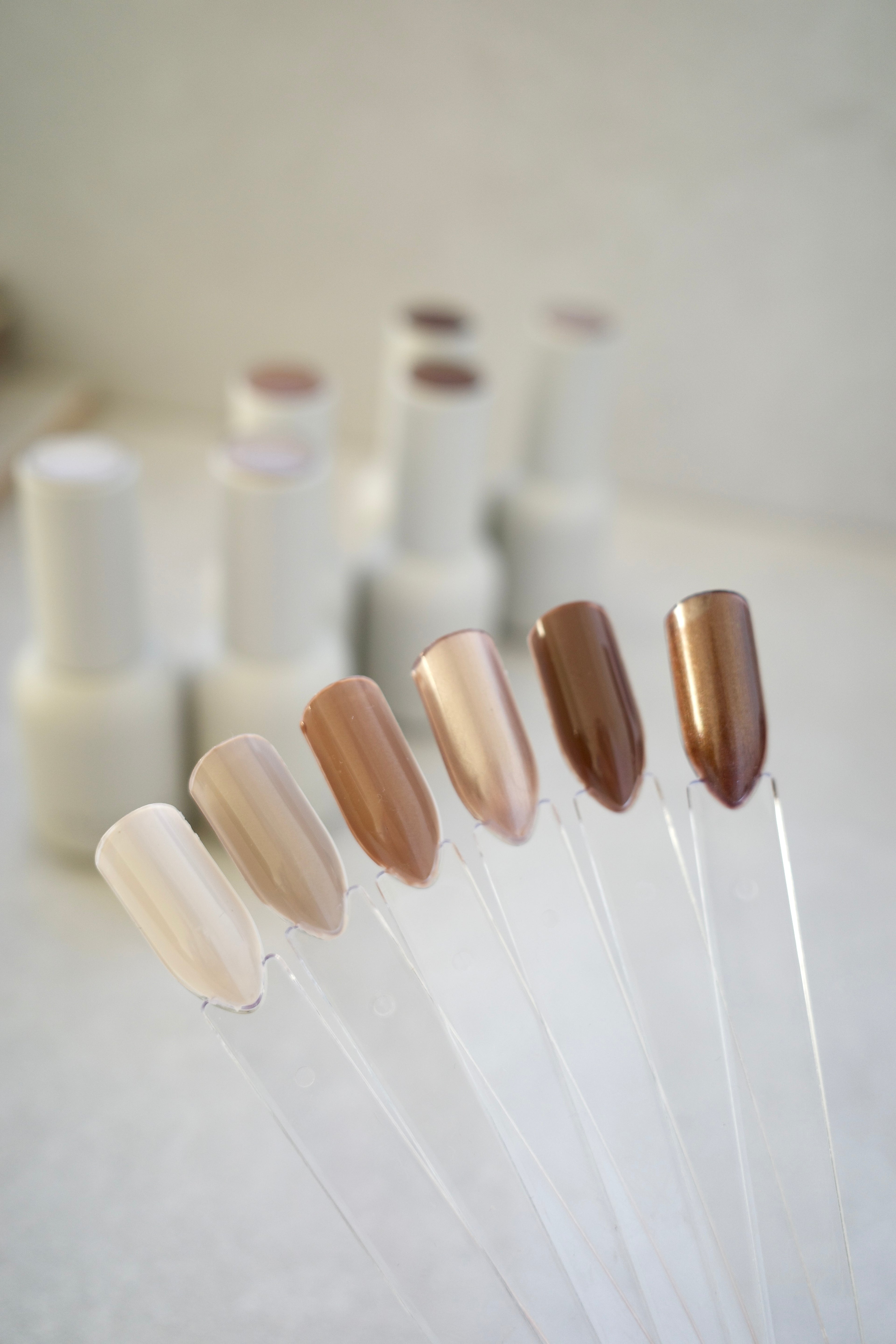Latte Collection - Set